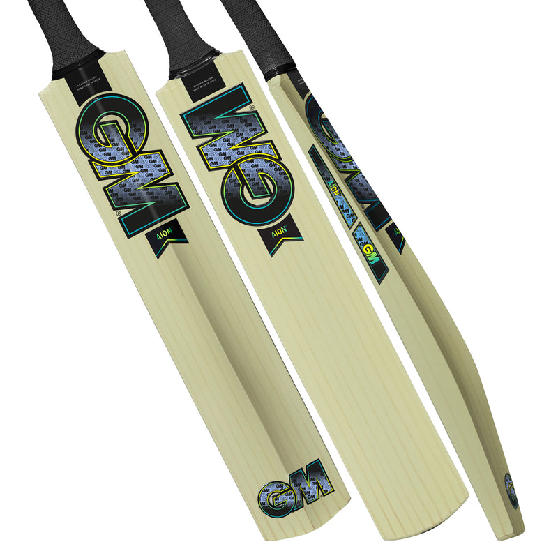 Gunn and Moore Aion Kashmir Willow Bat