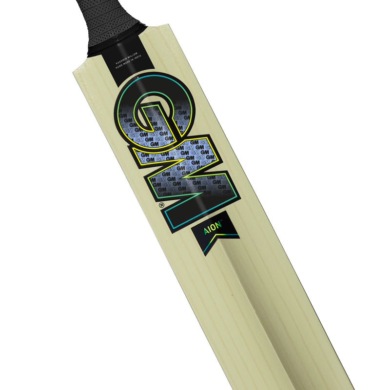 Gunn and Moore Aion Kashmir Willow Bat