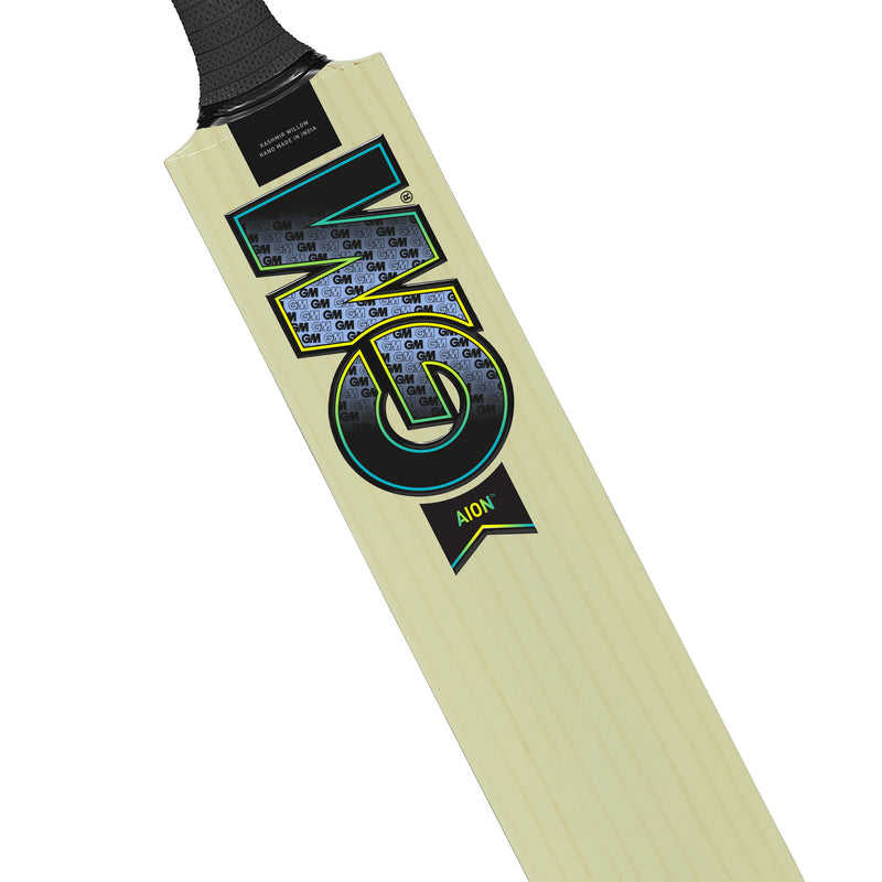 Gunn and Moore Aion Kashmir Willow Bat