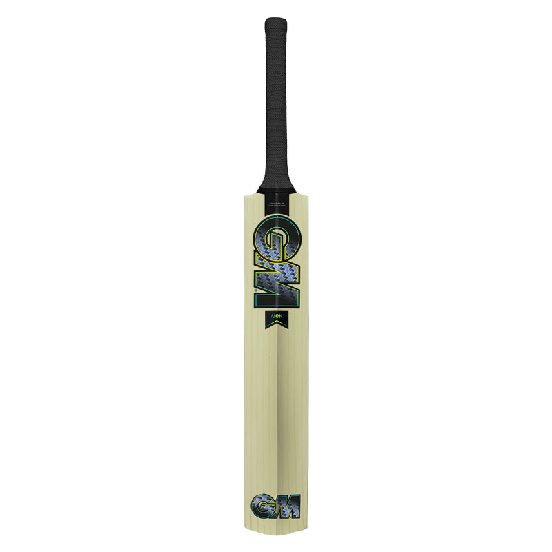 Gunn and Moore Aion Kashmir Willow Bat