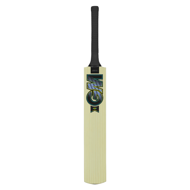 Gunn and Moore Aion Kashmir Willow Bat