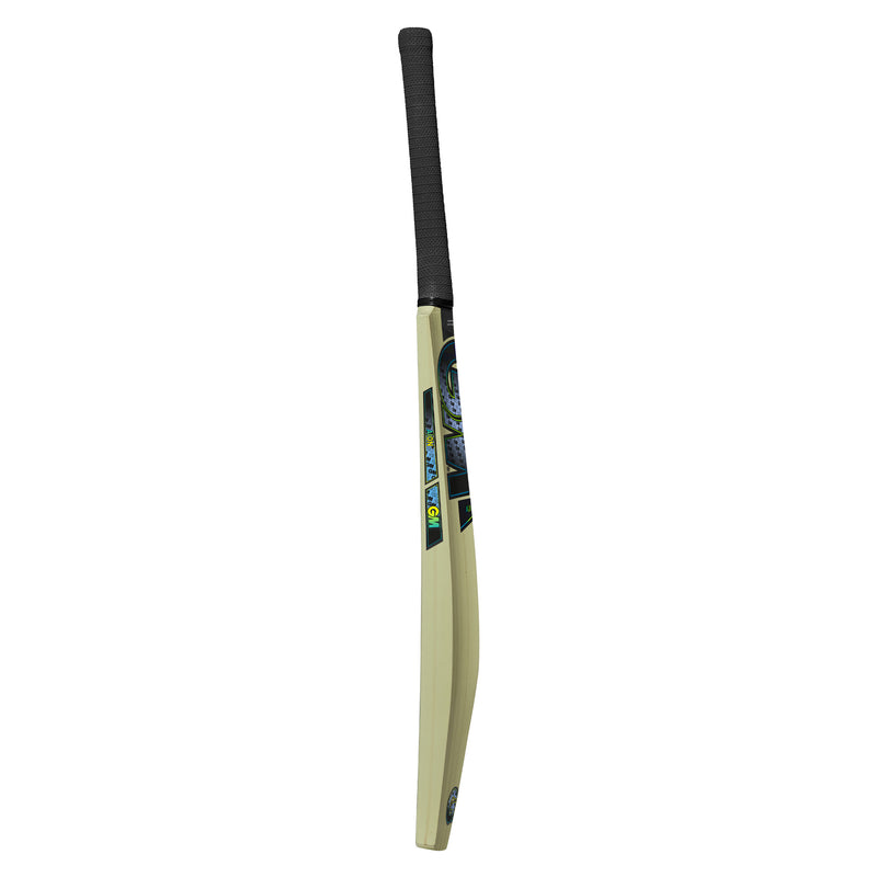 Gunn and Moore Aion Kashmir Willow Bat