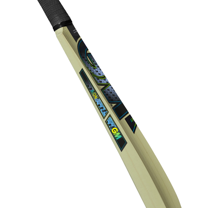 Gunn and Moore Aion Kashmir Willow Bat