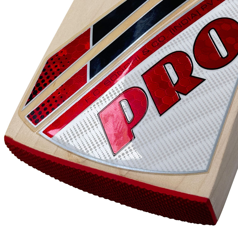 Protos Internatus English Willow Cricket Bat