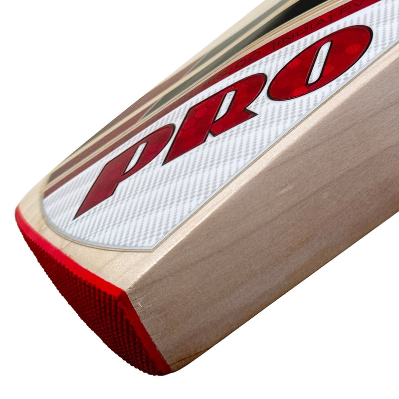 Protos Internatus English Willow Cricket Bat