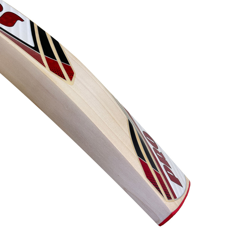 Protos Internatus English Willow Cricket Bat