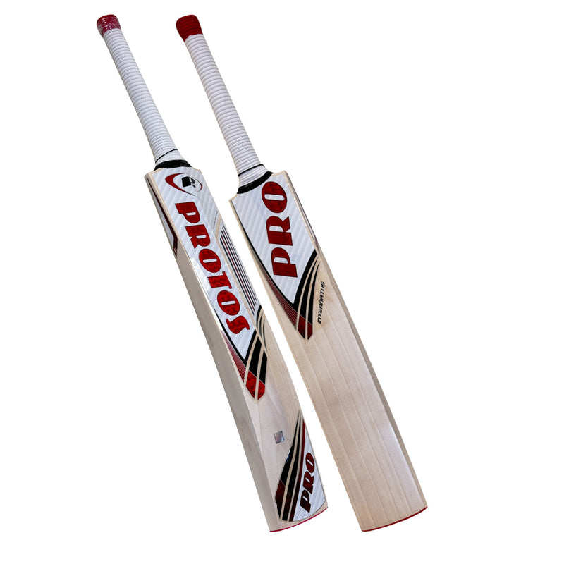 Protos Internatus English Willow Cricket Bat