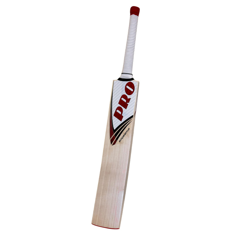 Protos Internatus English Willow Cricket Bat