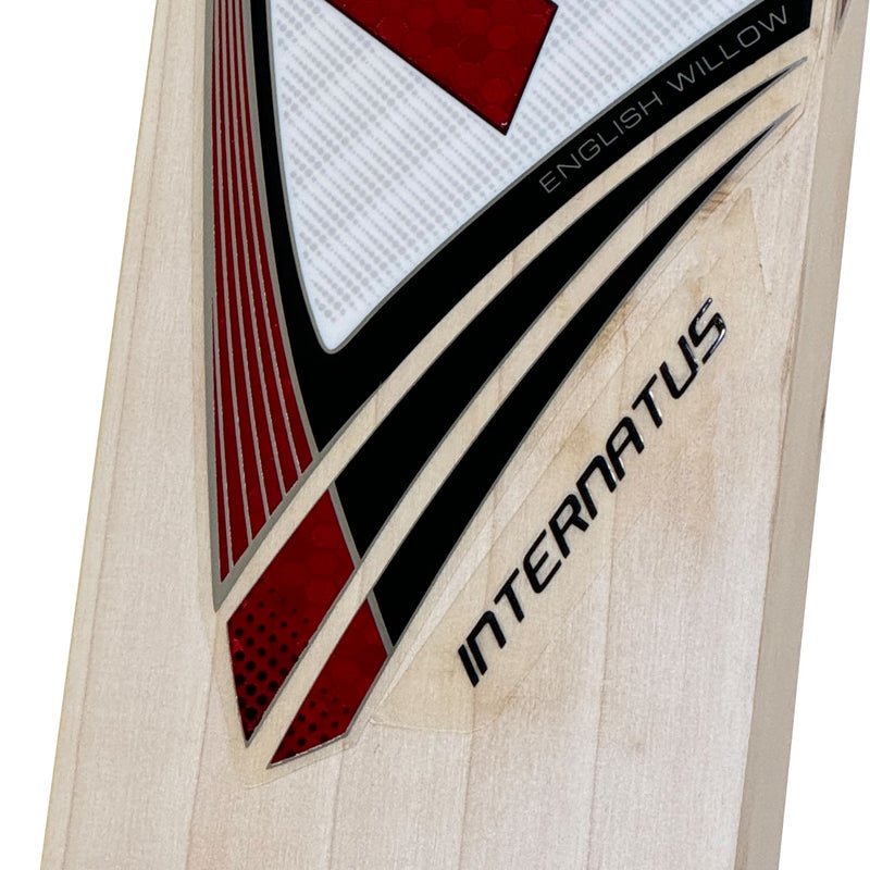 Protos Internatus English Willow Cricket Bat