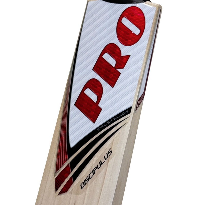 Protos Internatus English Willow Cricket Bat