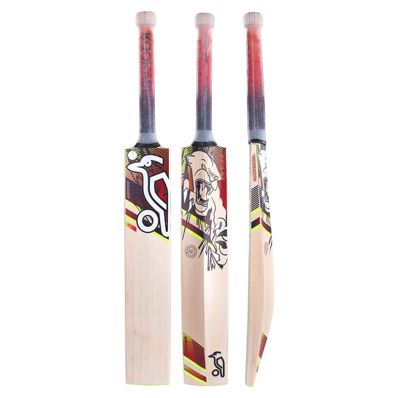 Kookaburra Beast 6.2 Cricket Bat