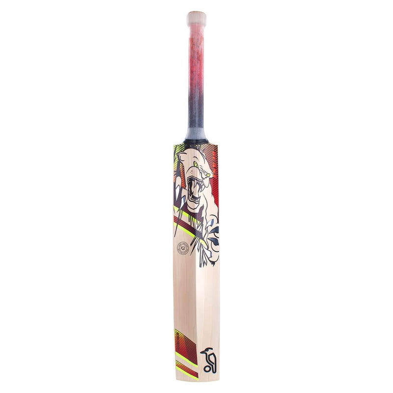 Kookaburra Beast 6.2 Cricket Bat