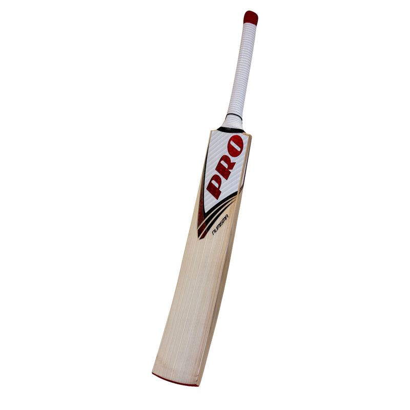 Protos Numisma English Willow Cricket Bat