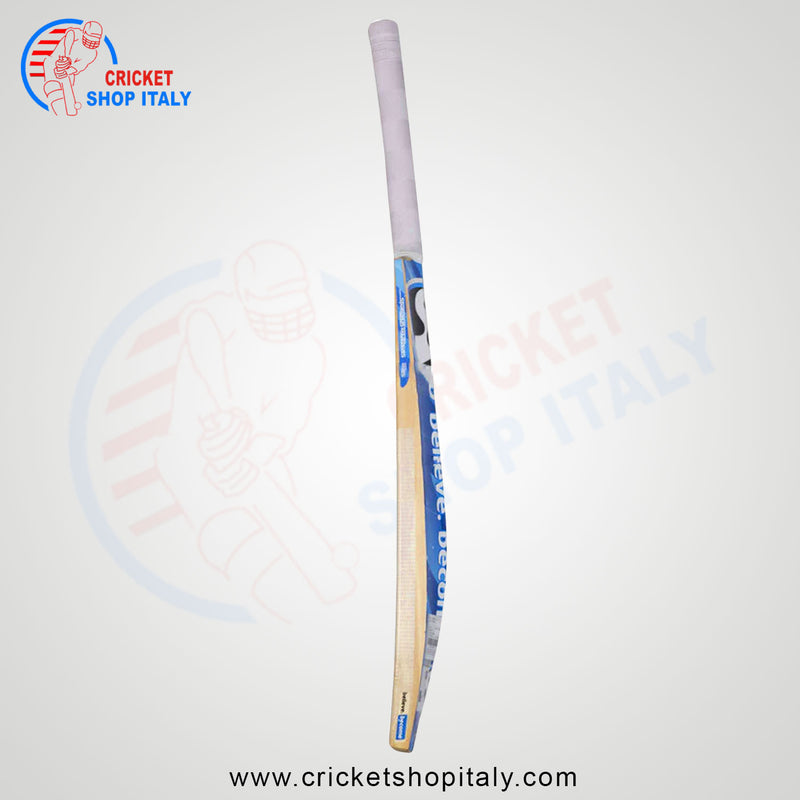 SG HP Plus Kashmir Willow Cricket Bat